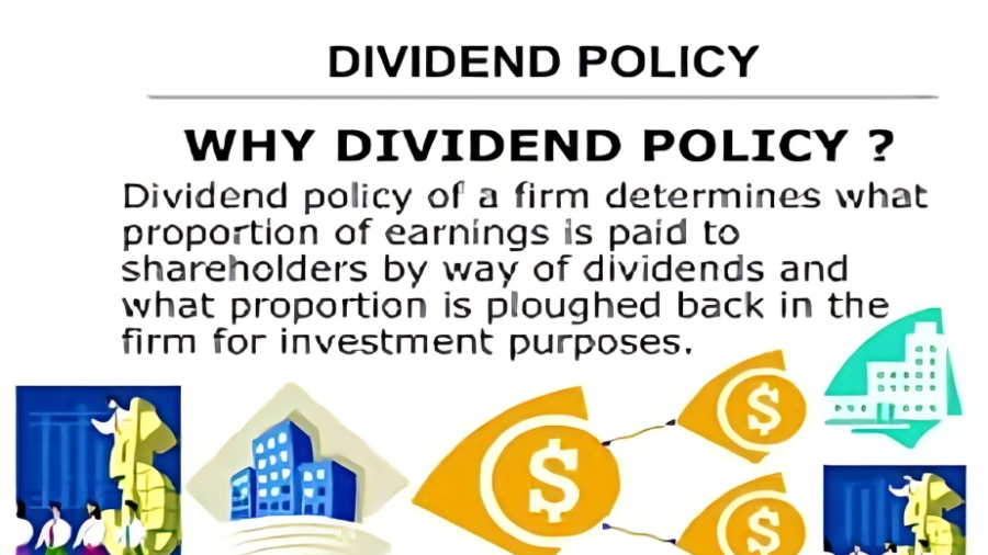 Understanding Dividends A Comprehensive Overview