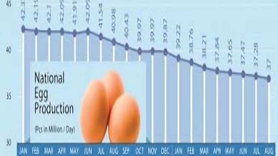 Understanding the Surge in Egg Prices Causes, Impacts, and Potential Solutions